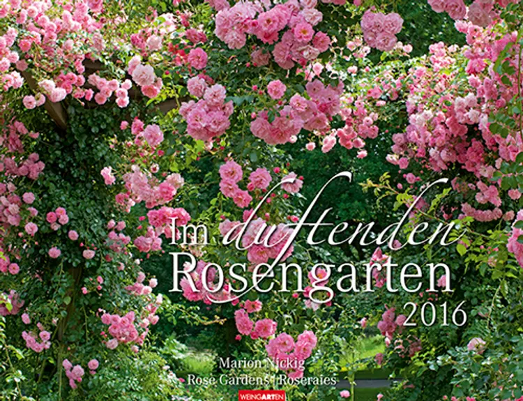 Im duftende Rosengarten - Rose Garden 2016