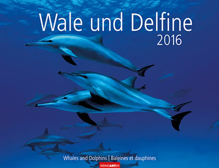 Wale und Delfine - Whales and Dolphins 2016