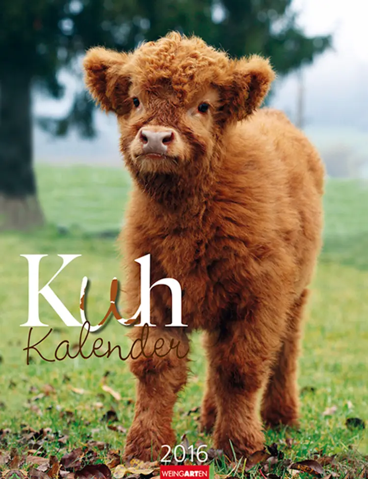 Kuh Kalender - Cows Calendar 2016
