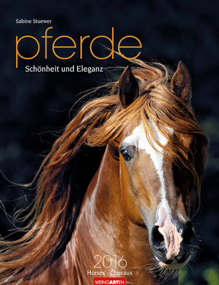Pferde: Schönheit und Eleganz - Horses 2016