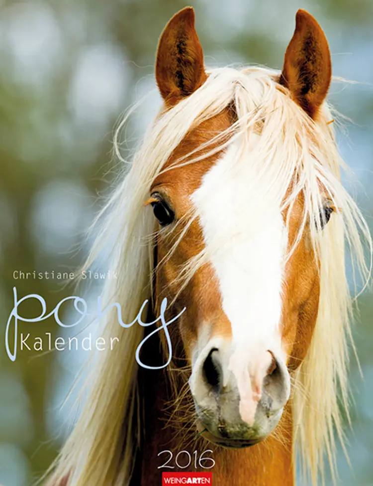 Pony Kalender 2016