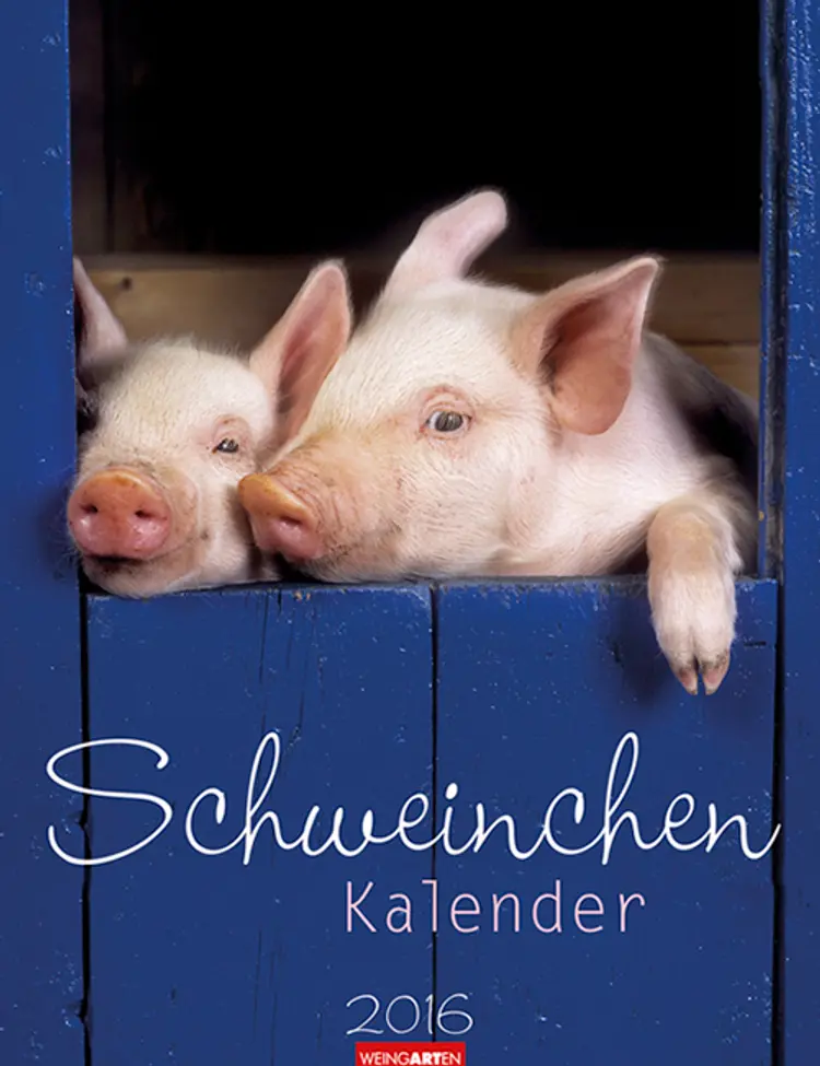 Schweinchen Kalender - Piglets Calendar 2016
