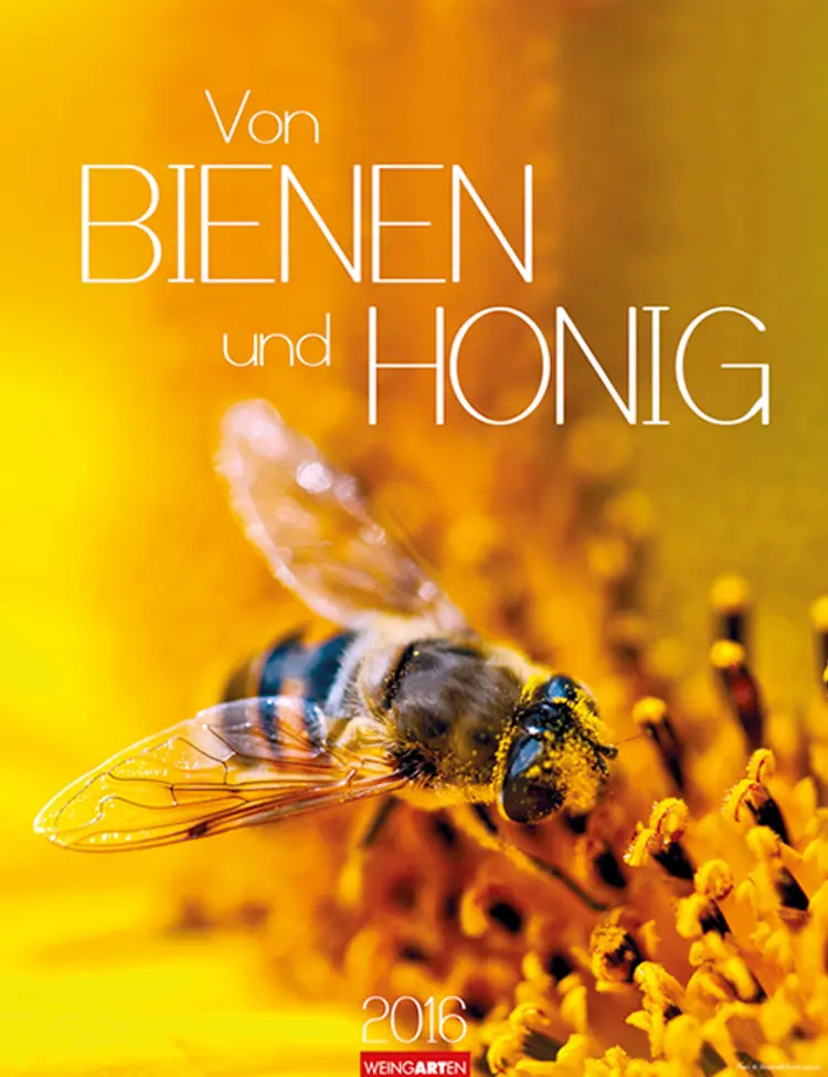 Von Bienen und Honig - Honey and Bees 2016