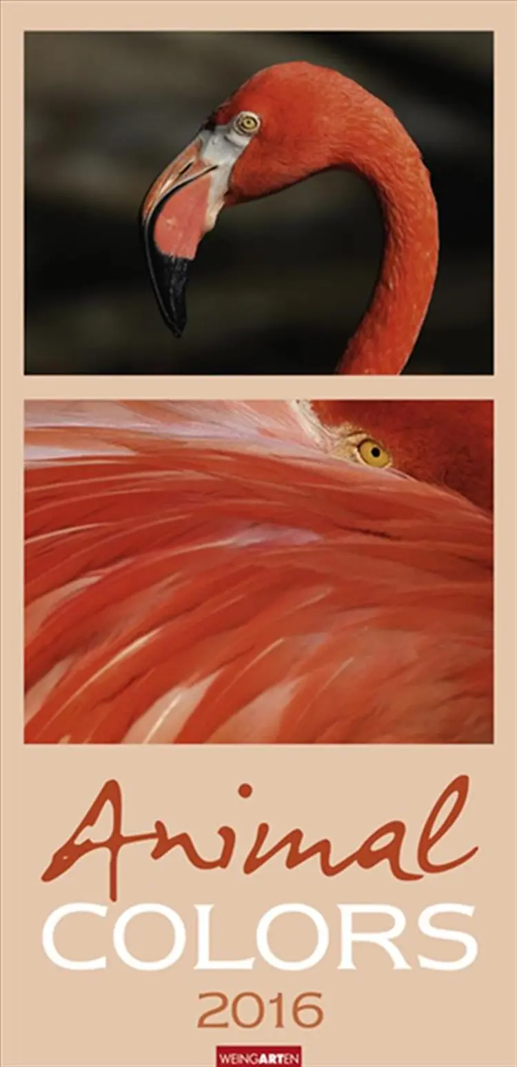 Animal Colors 2016