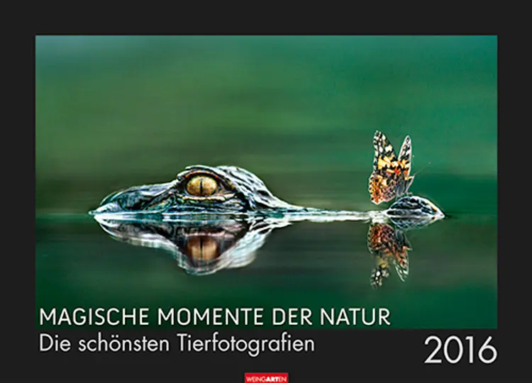 Magische Momente der Natur: Die schönsten Tierfotografien 2016