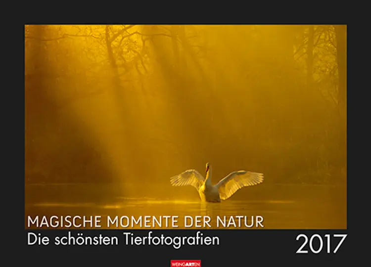 Magische Momente der Natur - Nature´s Magic Moments 2017