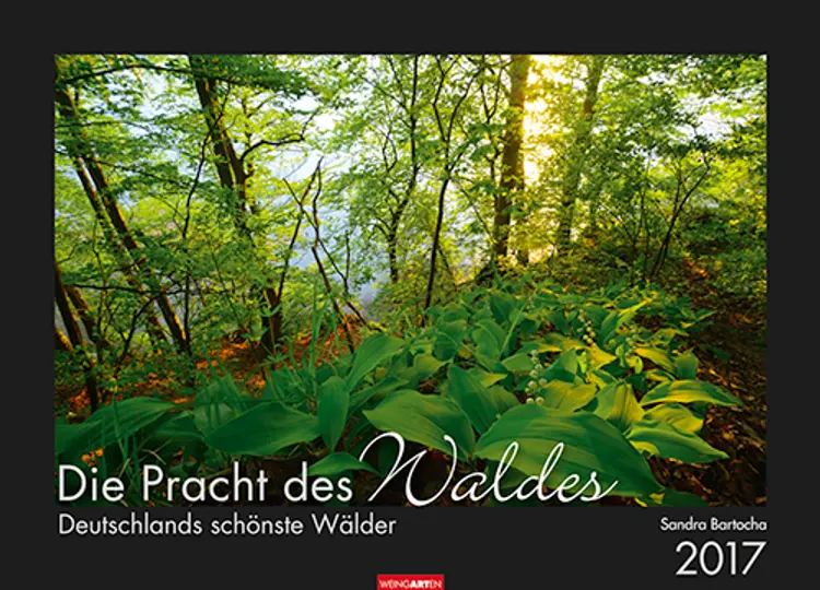 Die Pracht des Waldes - The Splendor of the Woods 2017