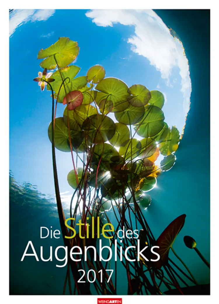 Die Stille des Augenblicks 2017