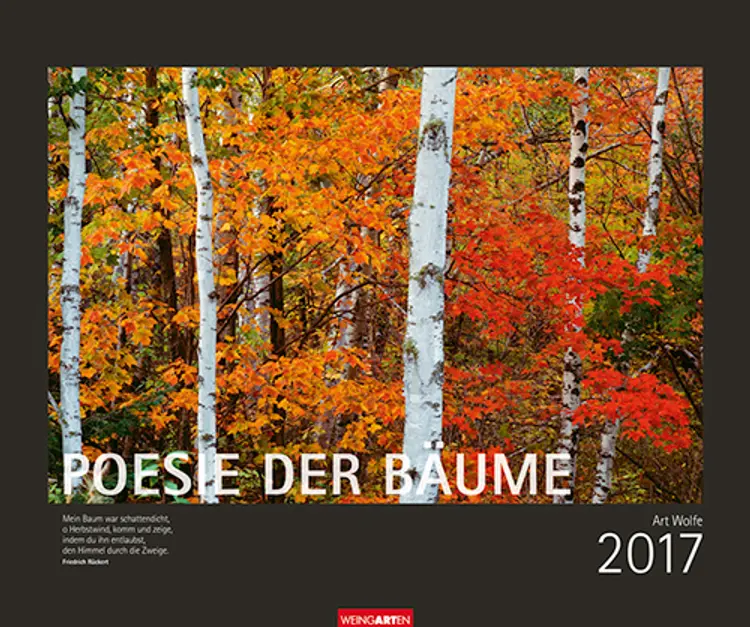 Poesie der Bäume - Trees 2017