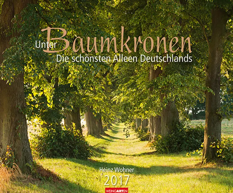 Unter Baumkronen - Shady Avenues 2017
