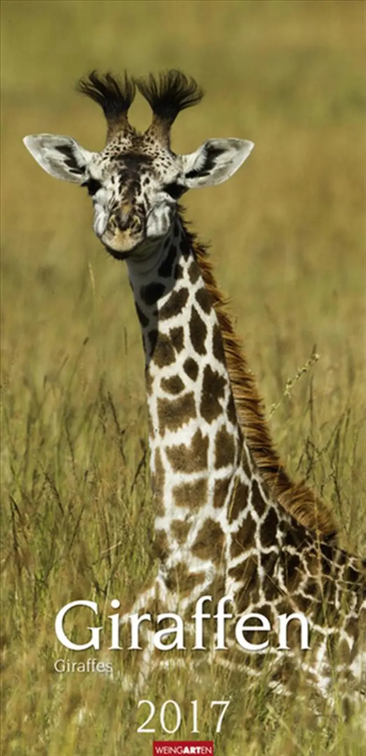 Giraffen - Girafffes Calendar 2015