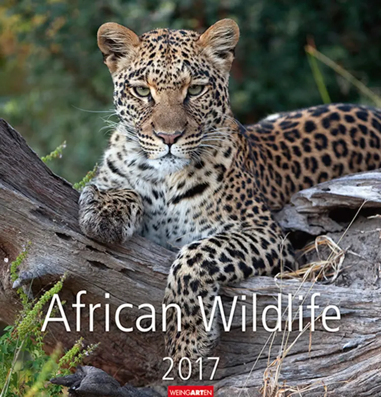 African Wildlife 2017