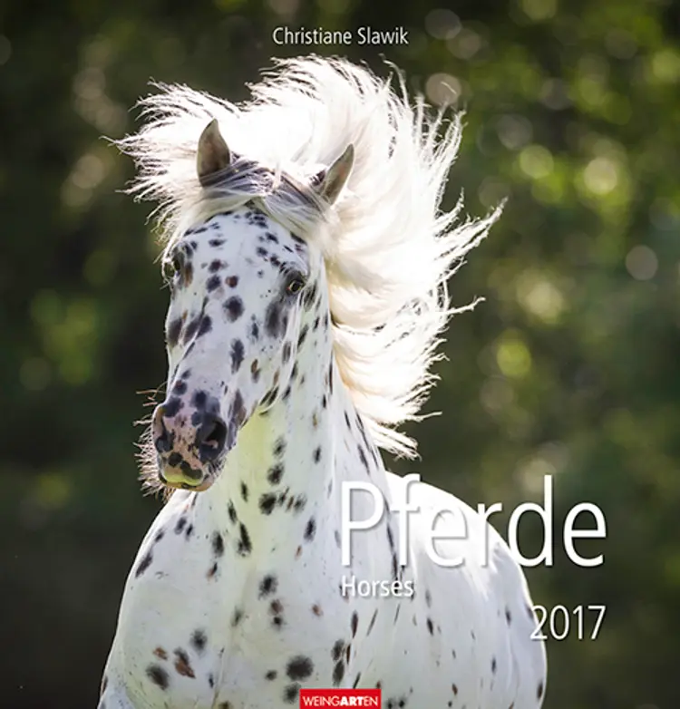 Pferde - Horses 2017