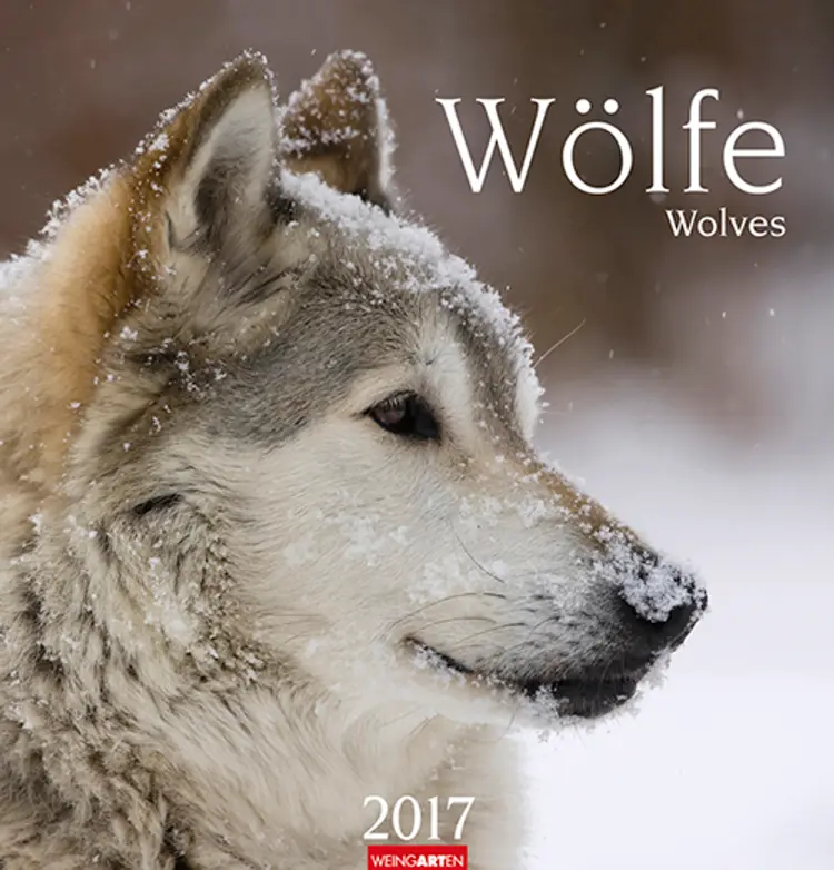 Wölfe - Wolves 2017