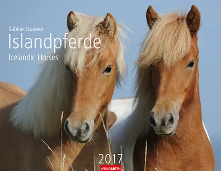 Islandpferde - Icelandic Horses 2017
