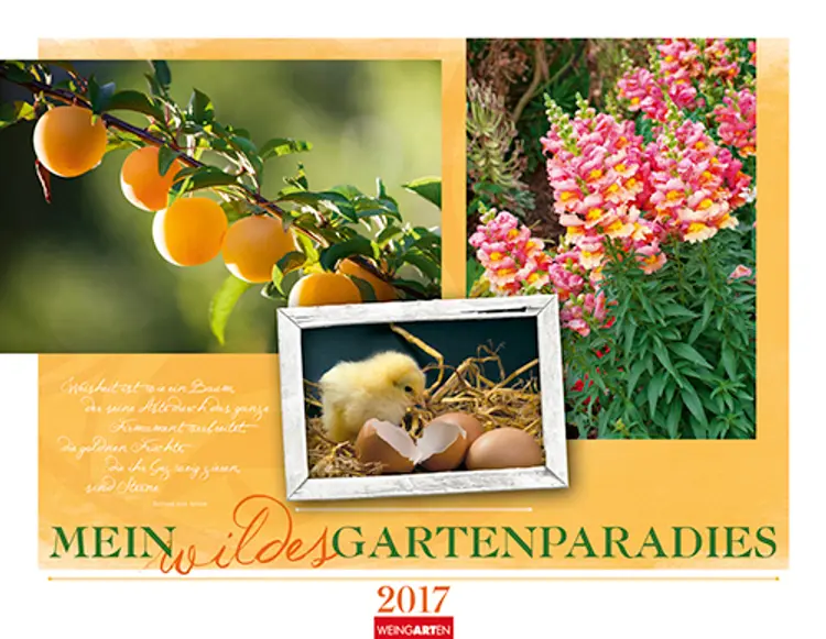 Mein wildes Gartenparadies - Wild Gardens2017