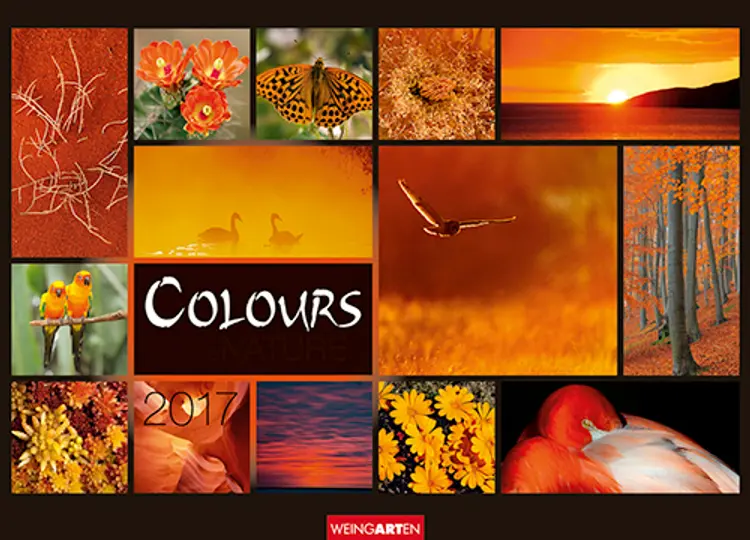 Colours of Nature 2017