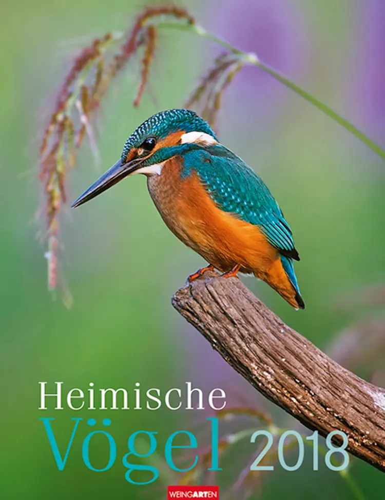 Heimische Vögel Kalender 2018 af Weingarten kalender 2018