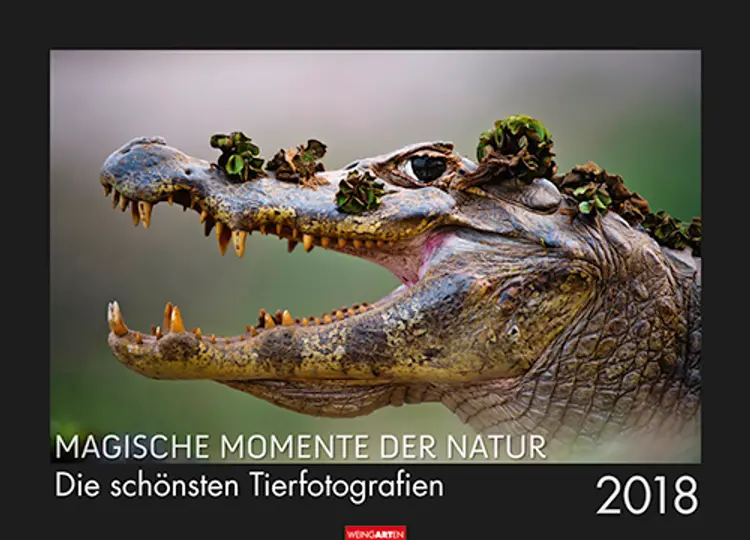 Magische Momente der Natur Kalender 2018