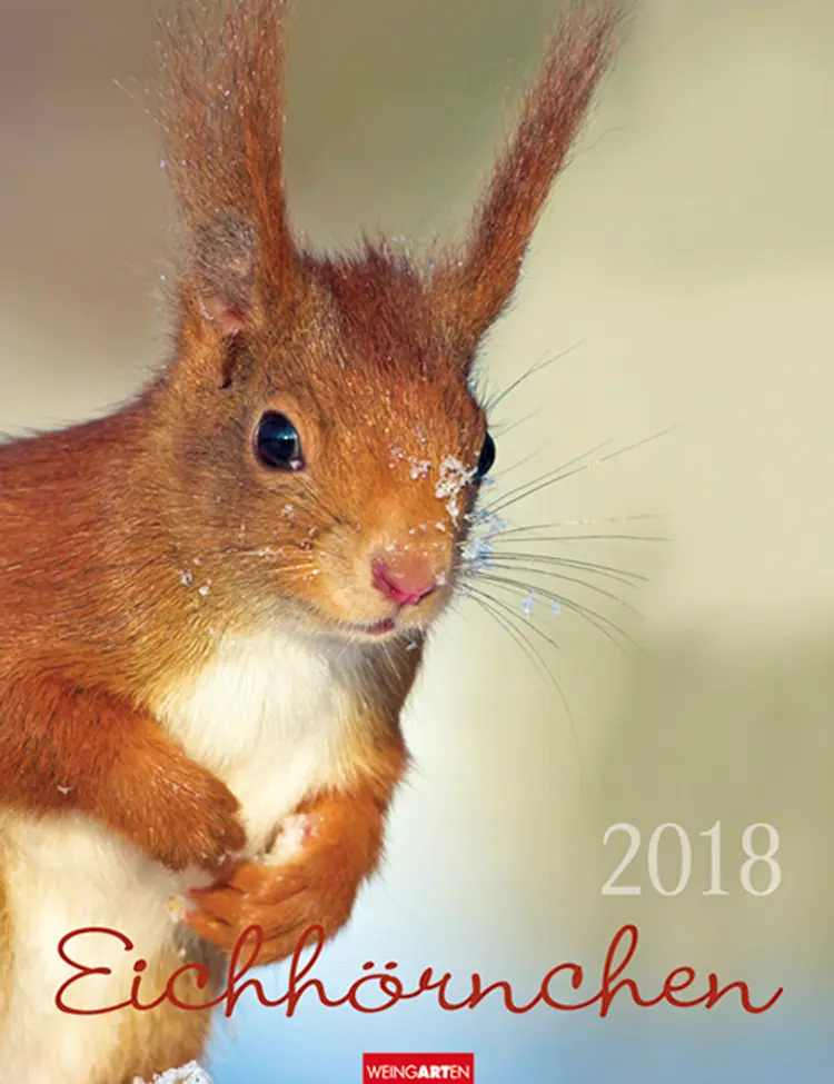 Eichhörnchen Kalender 2018