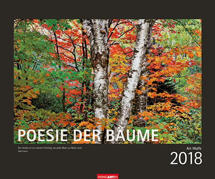 Poesie der Bäume 2018 Kalender