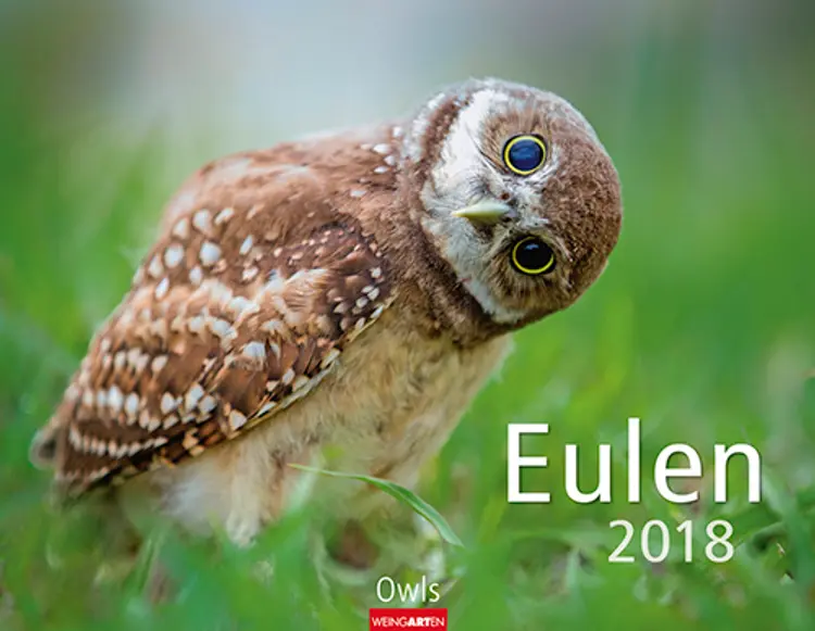 Eulen 2018 Kalender