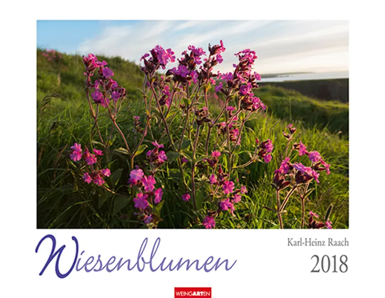 Wiesenblumen 2018 Kalender