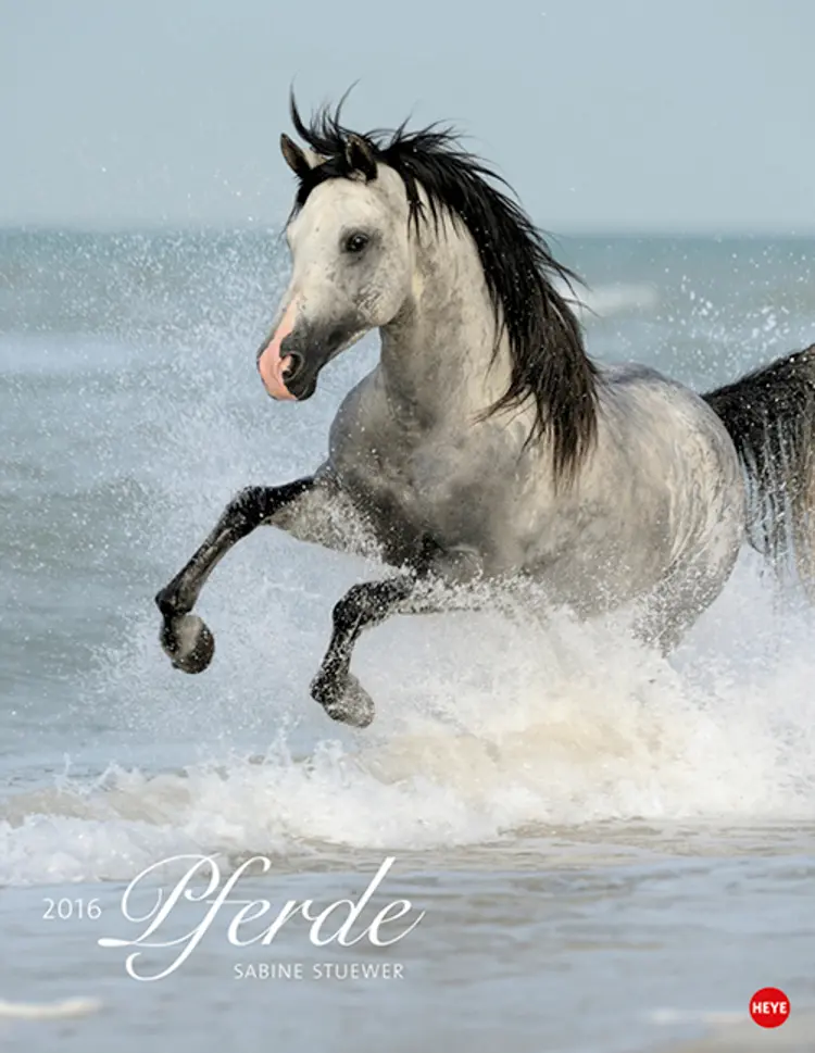 Pferde Classics 2016