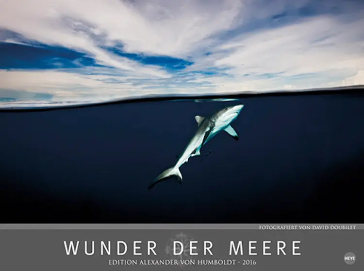 Wunder der Meere 2016