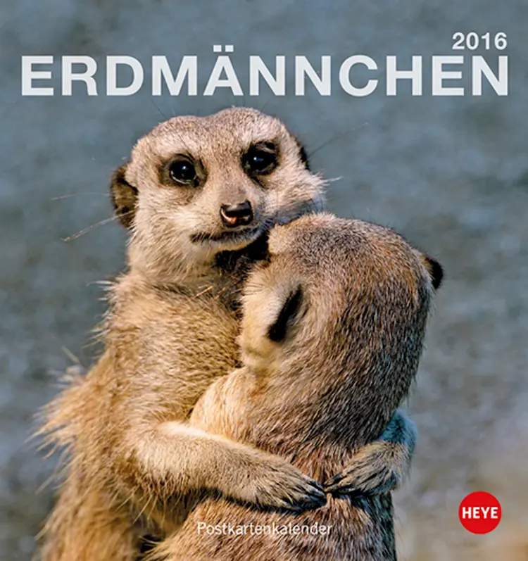 Erdmännchen Postkartenkalender 2016