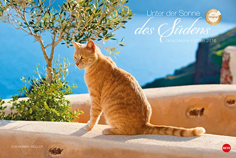 Griechische Katzen - Unter der Sonne des Südens 2016