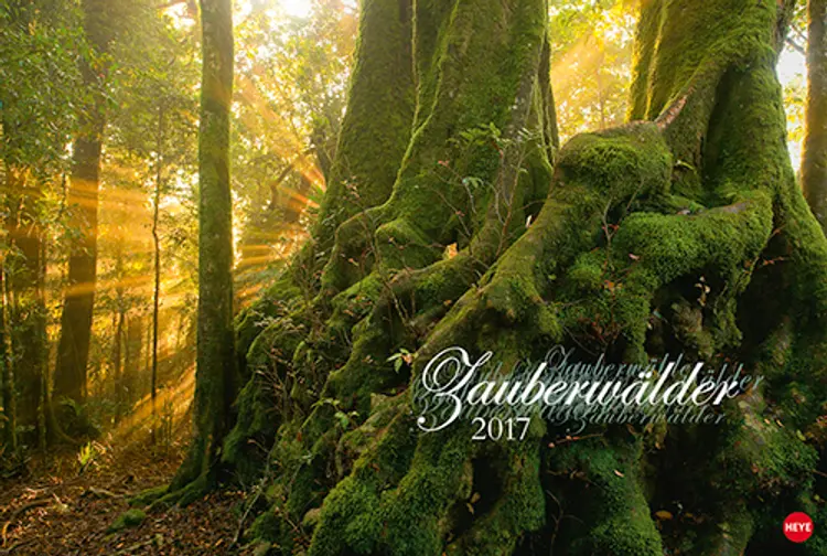 Zauberwälder Edition 2017