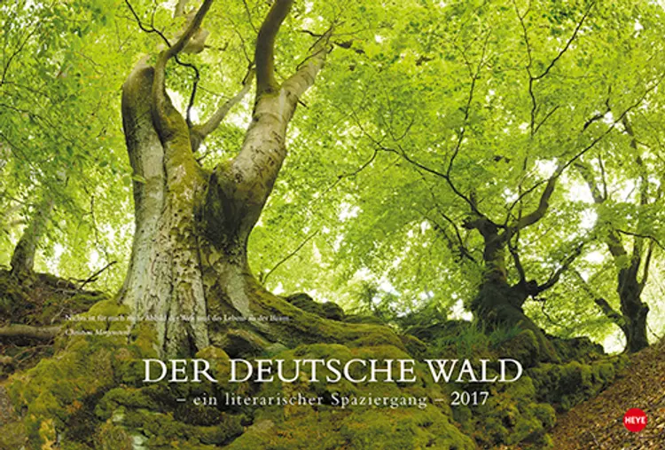 Der deutsche Wald Edition 2017