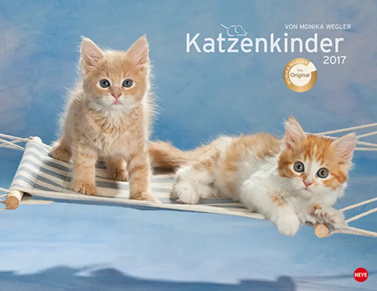 Katzenkinder Posterkalender 2017