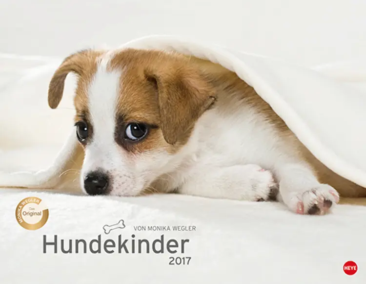 Hundekinder Posterkalender 2017