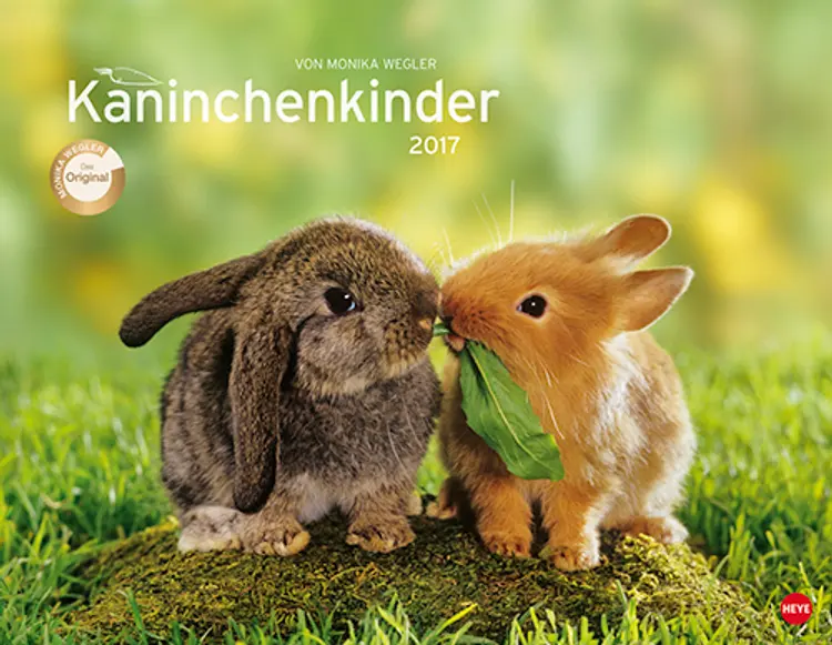 Kaninchenkinder Posterkalender 2017
