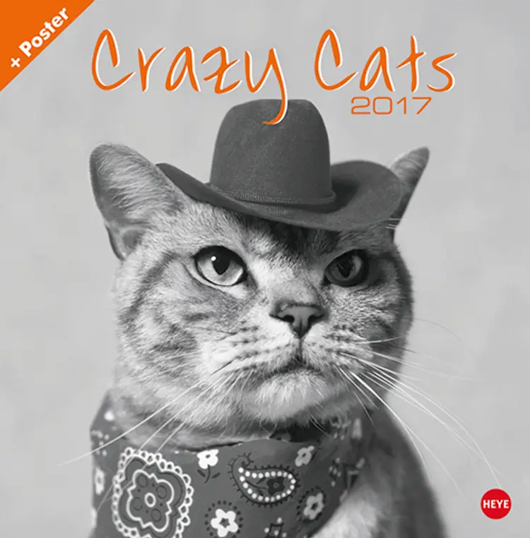 Crazy Cats Posterkalender 2017