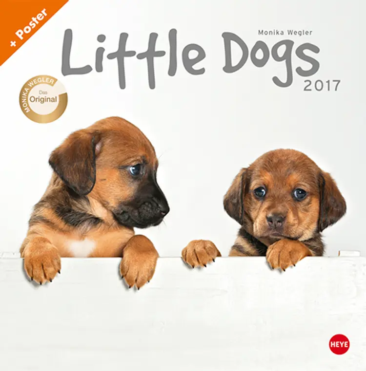 Wegler - Little Dogs Posterkalender 2017