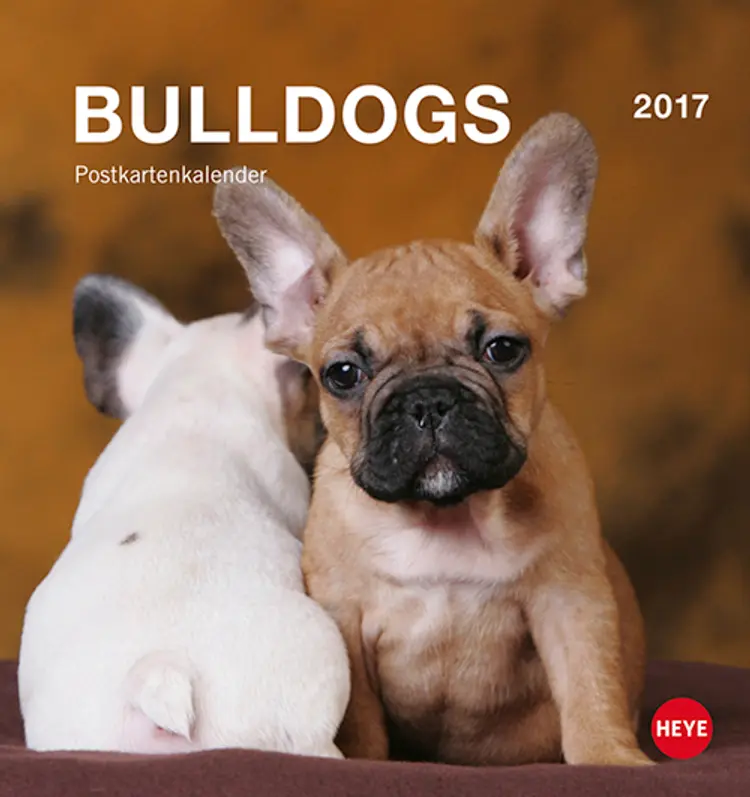 Bulldogs Postkortkalender 2017