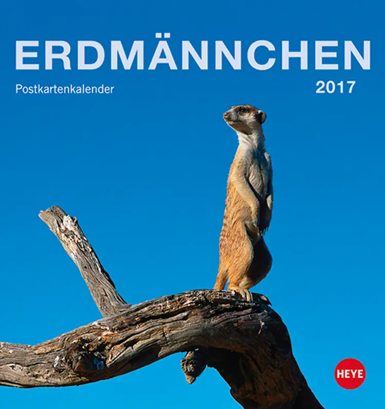 Erdmännchen Postkortkalender 2017