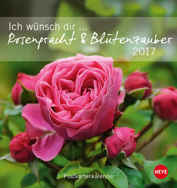 Ich wünsch dir Rosenpracht & Blütenzauber Postkortkalender 2017