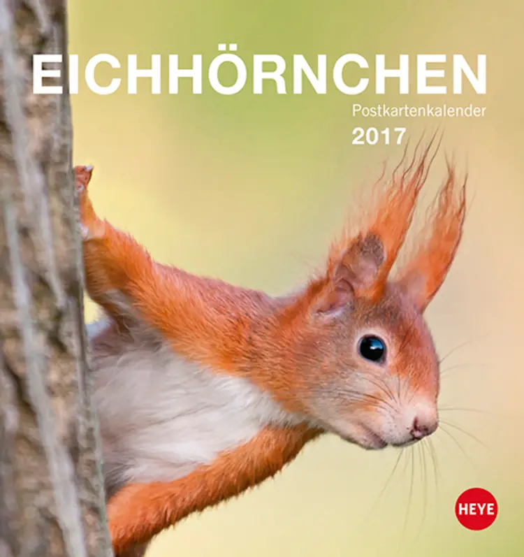 Eichhörnchen Postkortkalender 2017