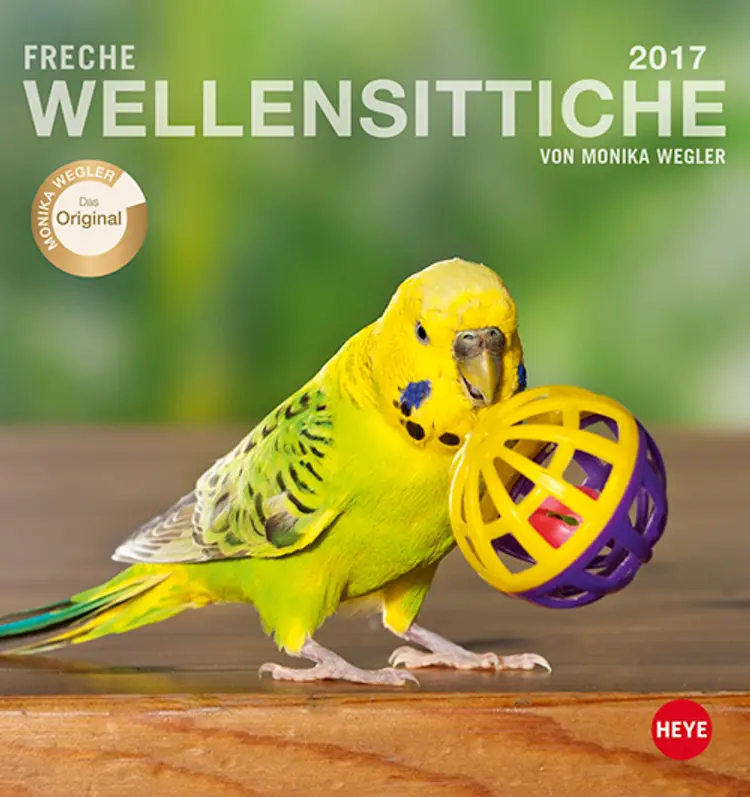 Wellensittiche Postkortkalender 2017