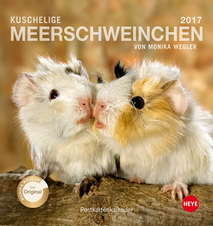 Meerschweinchen Postkortkalender 2017