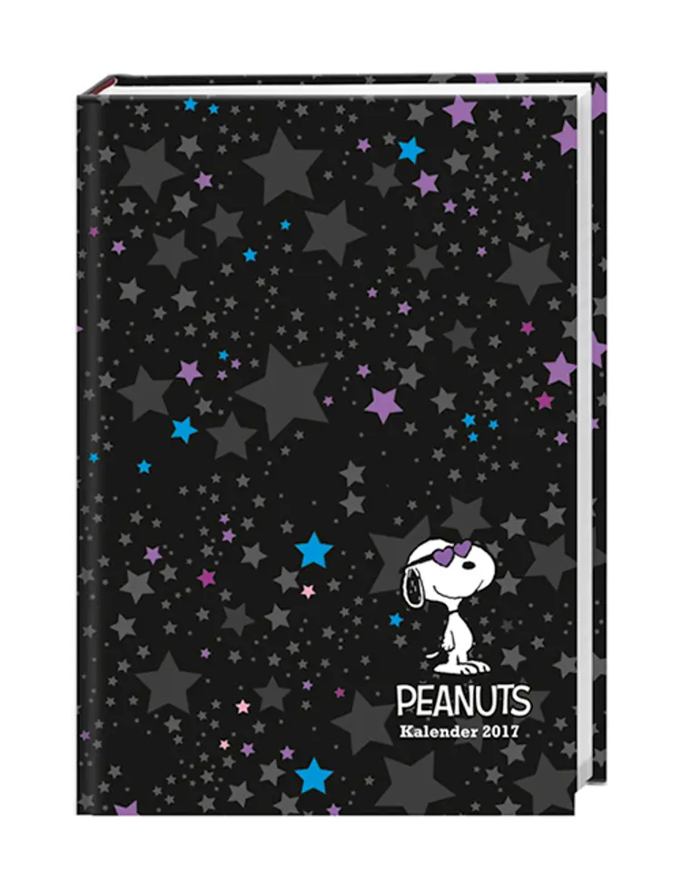 Peanuts 17 Monatskalenderbuch A6 2017