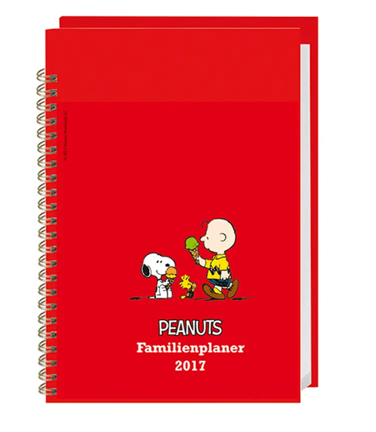 Peanuts Familienplaner Buch A5 2017
