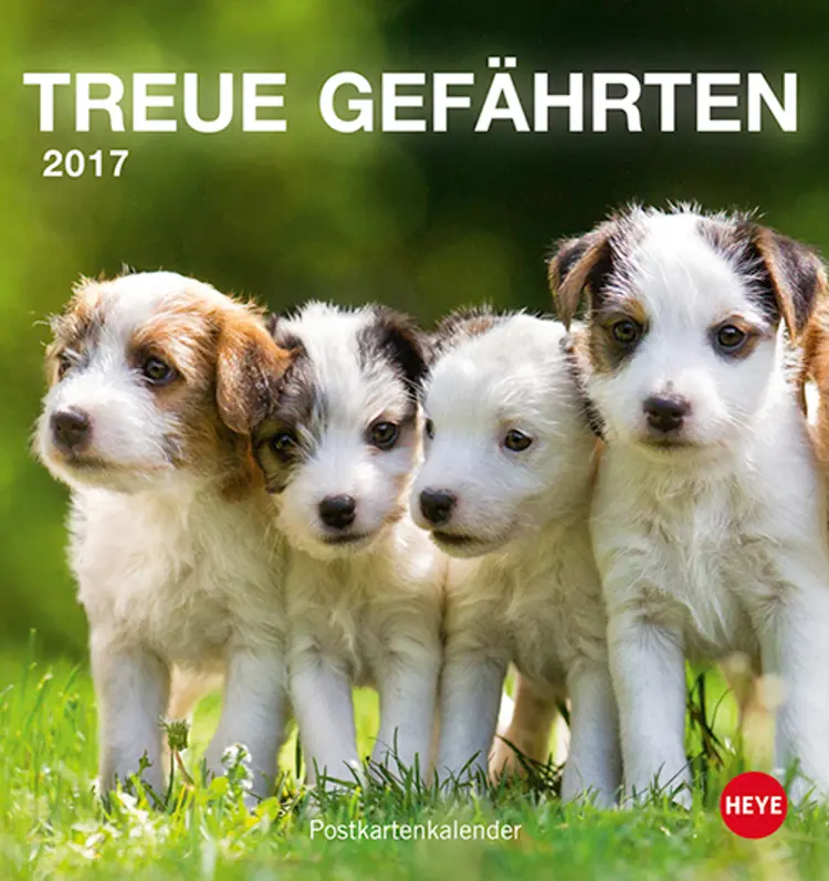 Hunde Postkortkalender 2017