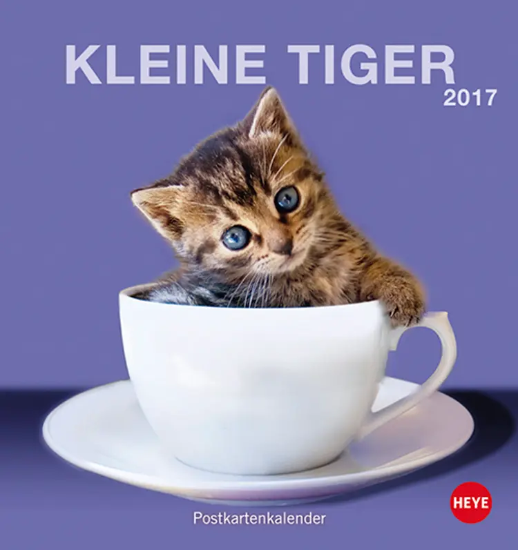 Katzen Postkortkalender 2017