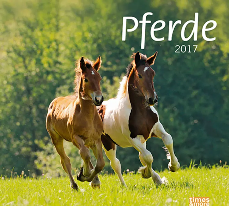 Bildkalender Pferde 2017