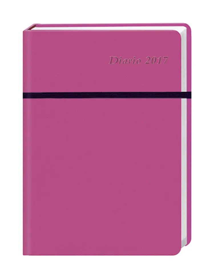 Diario klein dunkelpink 2017